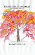 Under the Flamboyán: Debajo del Flamboyán - Paperback