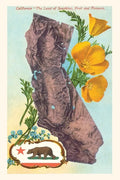 "The Vintage Journal California Map with Bear and Poppies - Paperback