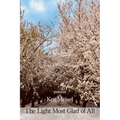 The Light Most Glad of All - Paperback