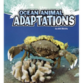 Ocean Animal Adaptations - Paperback
