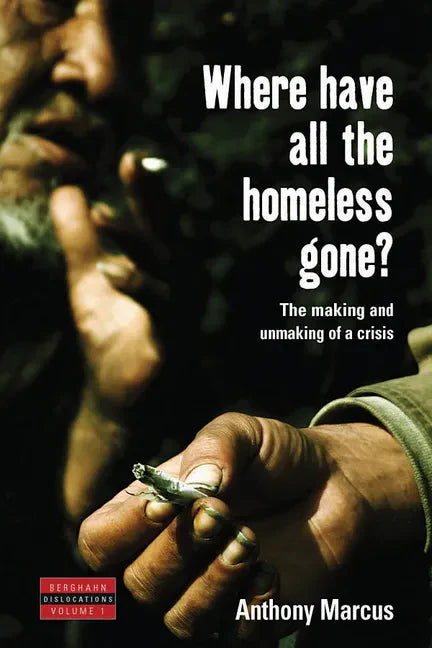 Where Have All the Homeless Gone?: The Making and Unmaking of a Crisis - Paperback