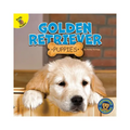 Golden Retriever Puppies - Paperback