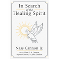 In Search of the Healing Spirit - Paperback