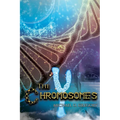 The Y Chromosomes - Paperback
