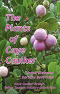 The Plants of Caye Caulker - Paperback