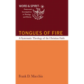 Tongues of Fire: A Systematic Theology of the Christian Faith - Hardcover