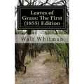 Leaves of Grass: The First (1855) Edition - Paperback