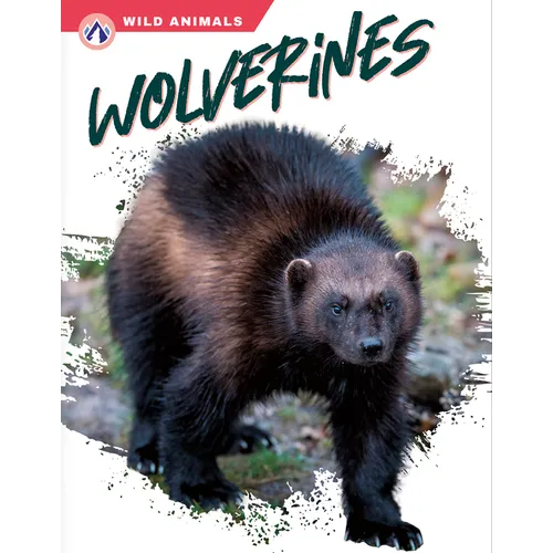 Wolverines - Paperback