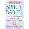 Spirit Babies: How to Communicate with the Child You're Meant to Have - Paperback