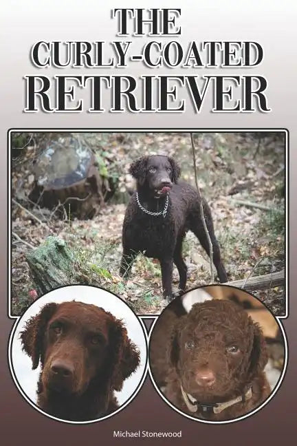 The Curly-Coated Retriever: A Complete and Comprehensive Owners Guide To: Buying, Owning, Health, Grooming, Training, Obedience, Understanding and - Paperback