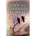 Pagan Portals - Gods and Goddesses of Wales: A Practical Introduction to Welsh Deities and Their Stories - Paperback