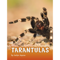 Tarantulas - Hardcover