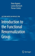 Introduction to the Functional Renormalization Group - Hardcover