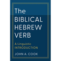 Biblical Hebrew Verb - Hardcover