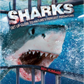 Sharks: Get Up Close to Nature's Fiercest Predators - Paperback