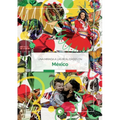 Una mirada a las realidades en México - Paperback