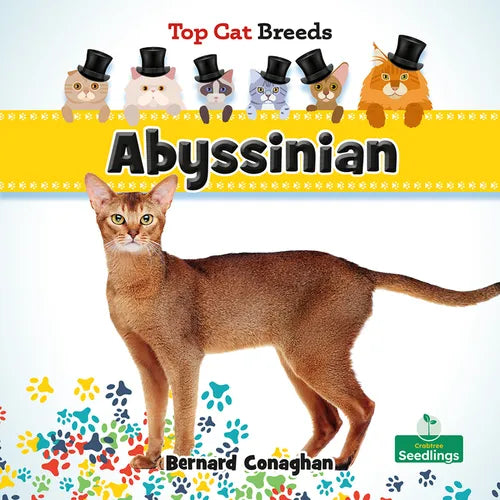 Abyssinian - Paperback