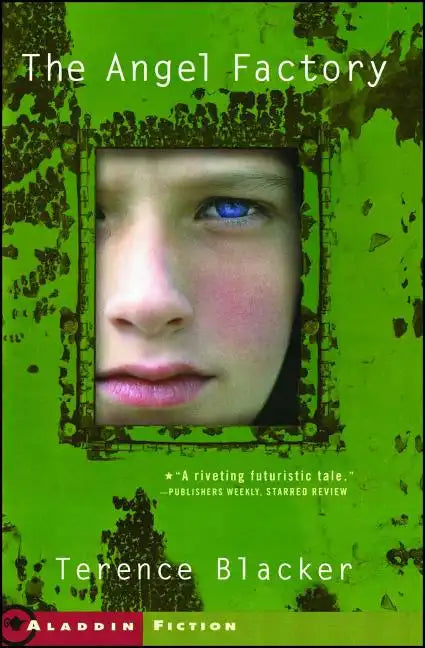 The Angel Factory - Paperback