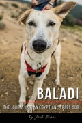 Baladi: The Journey of an Egyptian Street Dog - Paperback