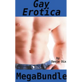Gay Erotica Mega Bundle - Paperback