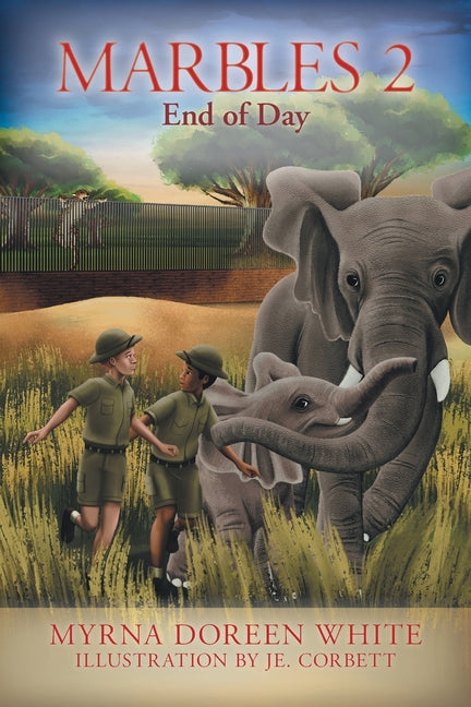 Marbles 2: End of Day - Paperback