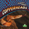 Copperheads - Library Binding
