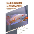 Blue Gourami - Albino Morph: From Novice to Expert. Comprehensive Aquarium Fish Guide - Paperback