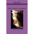 The Spirit World - Paperback