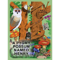 A Pygmy Possum Named Henry - Hardcover