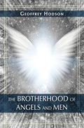 The Brotherhood of Angels and Men - Paperback