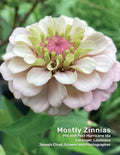 Mostly Zinnias: Flower Photos Pre and Post Hurricane Ida - Paperback