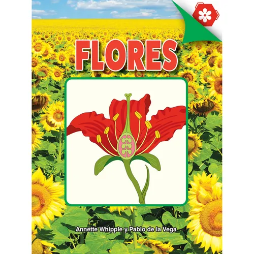 Flores: Flowers - Paperback