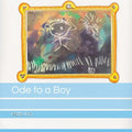 Ode to a Boy - Paperback
