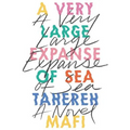 A Very Large Expanse of Sea - Hardcover