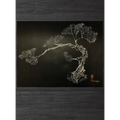 Matsu - Hardcover