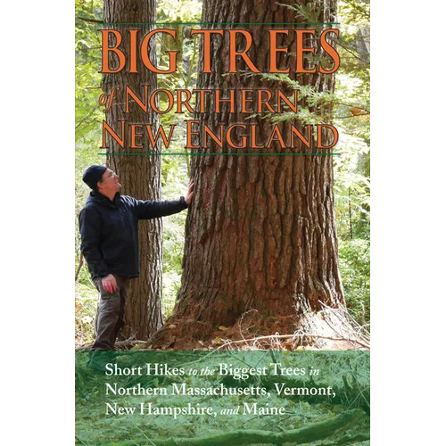 Big Trees of Northern New England - Paperback