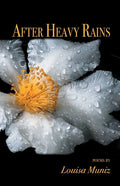 After Heavy Rains - Paperback