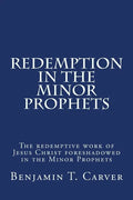 Redemption in the Minor Prophets: The redemptive work of Jesus Christ foreshadowed in the Minor Prophets - Paperback