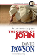 A Commentary on the Gospel of John - Paperback