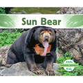Sun Bear - Library Binding