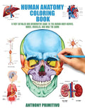 Human Anatomy Coloring Book: A Very Detailed and Informative Guide to the Human Body: Nerves, Bones, Muscles, and How to the Work - Paperback