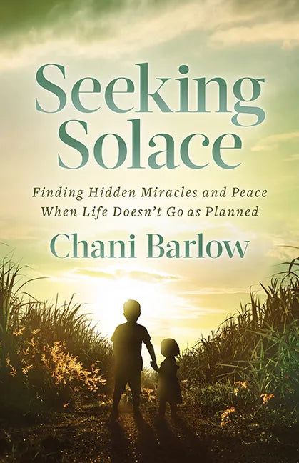 Seeking Solace: Finding Hidden Miracles and Peace When Life Doesn't Go as Planned - Paperback