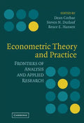 Econometric Theory and Practice - Hardcover