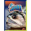 El Payara - Hardcover