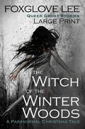 The Witch of the Winter Woods: Large Print: A Paranormal Christmas Tale - Paperback