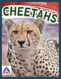 Cheetahs - Library Binding