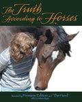 The Truth According to Horses - Paperback