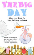 The Big Day: A Practical Guide for Labor, Delivery, and more - Paperback