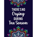There's No Crying During Tax Season: Accountant Coloring Book Intricate Designs And Humorous Quotes To Color, Stress-Free Coloring Pages - Paperback