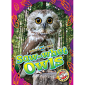 Saw-Whet Owls - Library Binding